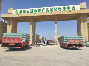 濮陽宏進3.2m-20m-100T雙向汽車衡