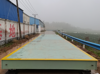 宜陽縣本真農(nóng)業(yè)開發(fā)公司100噸地磅