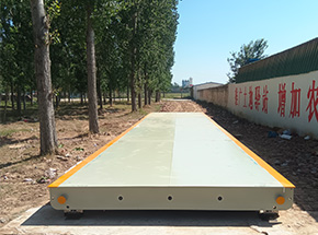 濮陽濮陽縣郎中鄉糧食儲備庫2臺地磅